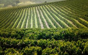 Lee más sobre el artículo Invertir en bienes raíces comerciales no tradicionales